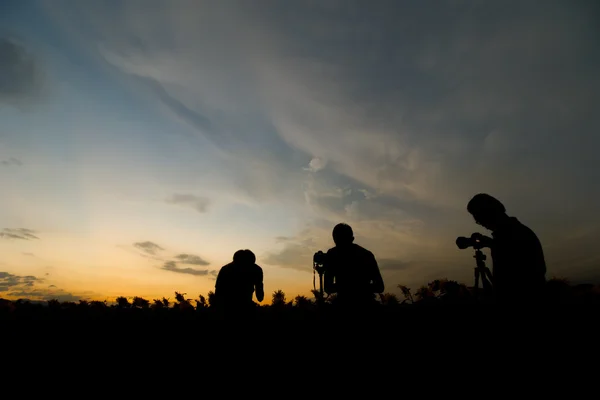 Silhouette in the sunset — Stock Photo, Image