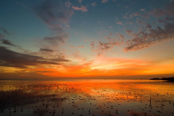 Nascer do sol e mar — Fotografia de Stock