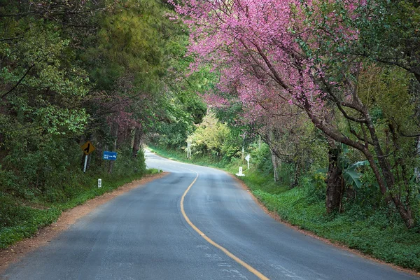 Weg in thailand — Stockfoto