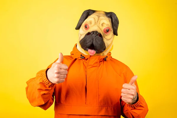 Köpek maskeli bir adam sarı arka planda izole edilmiş, onaylı bir jest ile..