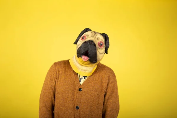 portrait of a man in a pug mask on a yellow background.