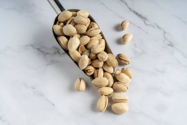 Kabuktaki şam fıstığı küreği beyaz mermer zemine yakın. İzole edilmiş.