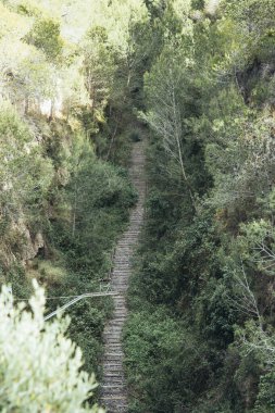 Terk edilmiş bir tren yolunun hava görüntüsü