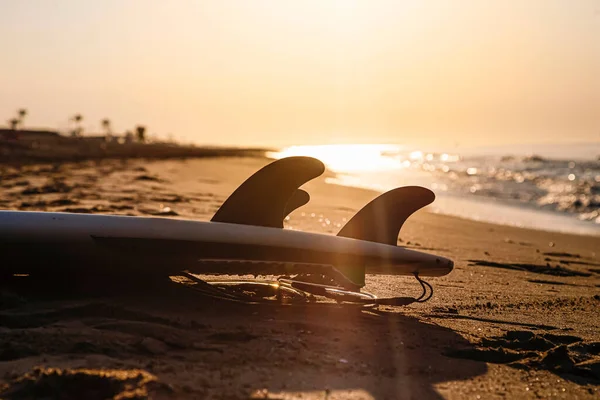 Surfbrettflossen Strand Licht Des Sonnenaufgangs — Stockfoto