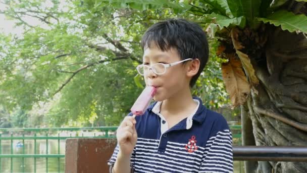 Chico disfrutar comiendo helado en parque — Vídeo de stock