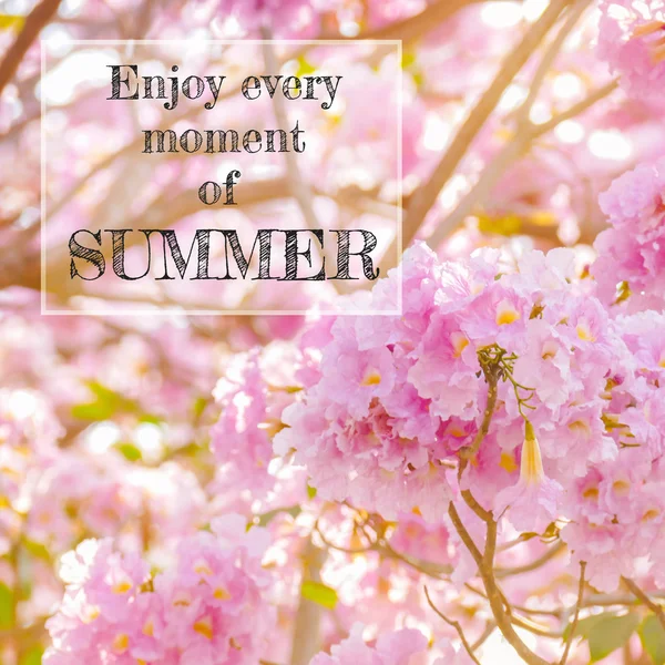 Inspirational Quote :Enjoy every moment of summer. — Stock Photo, Image