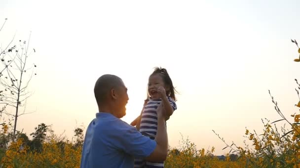 Father throws girl daughter into the air at flower field. — Stock Video