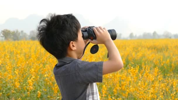 Jongen op zoek door middel van verrekijkers in veld — Stockvideo