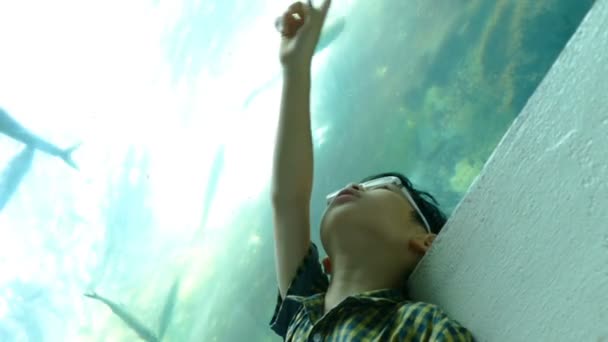 Boy watching fish in tank — Stock Video