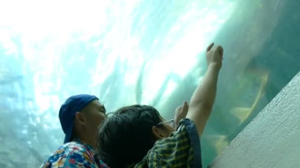 Familie beobachtet Fische im Becken — Stockvideo