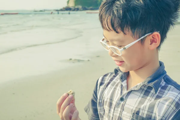 Chłopak patrząc na shellu na plaży — Zdjęcie stockowe
