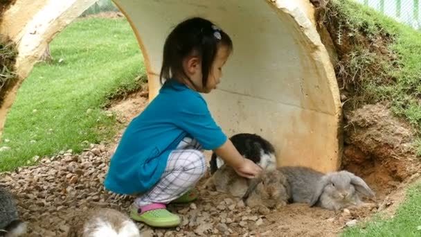 Niña con conejo real . — Vídeo de stock