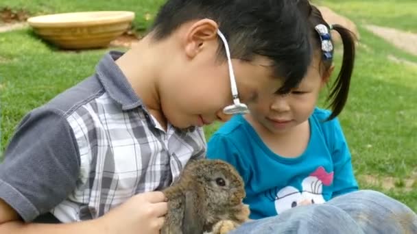 Дети играют с кроликом . — стоковое видео