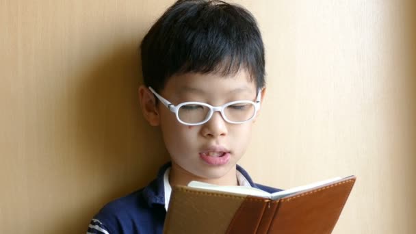 Хлопчик читає книгу — стокове відео