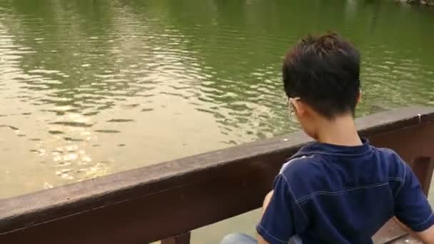 Menino alimentando peixes na lagoa . — Vídeo de Stock