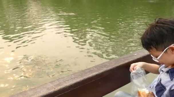 Pojke utfodring fisk i dammen. — Stockvideo