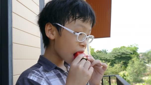 Мальчик ест кусок арбуза — стоковое видео