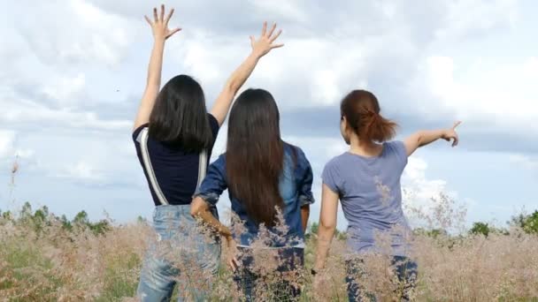 Girls smiling and laugh in field — Stock Video