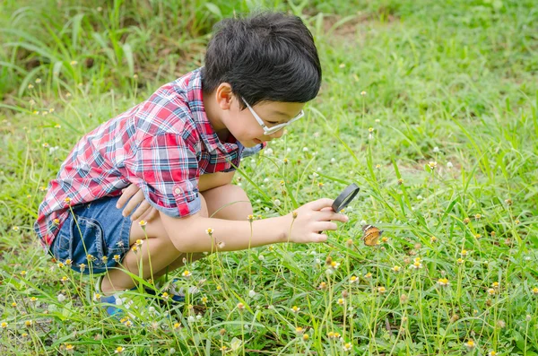 Kelebek gözlemlemek için büyüteç kullanarak çocuk — Stok fotoğraf