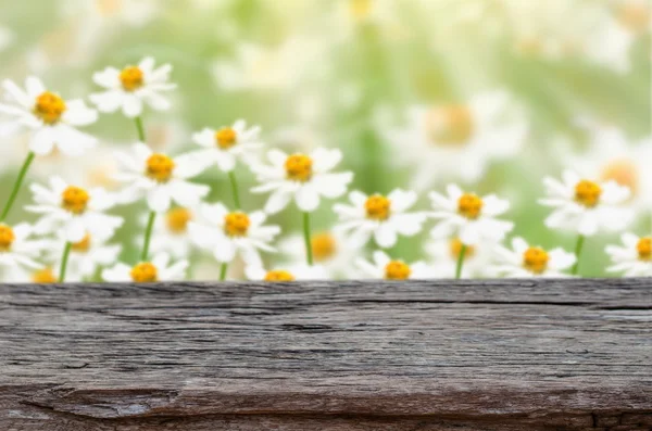 Tampo da mesa de madeira com fundo da natureza — Fotografia de Stock