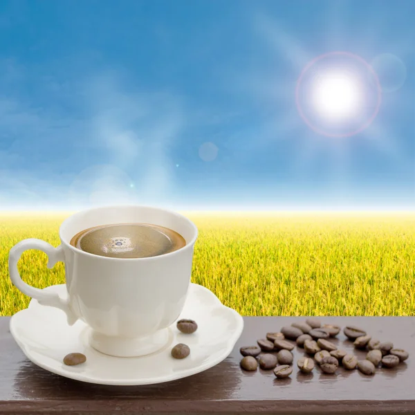 Kaffeetasse über Reisfeld — Stockfoto