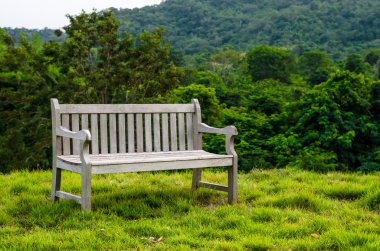 Parktaki ahşap bank