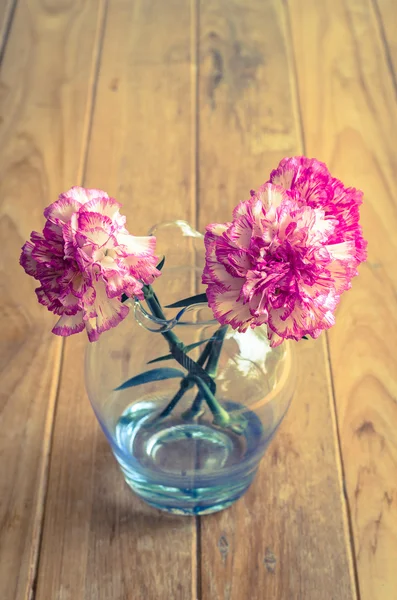 Cravos cor-de-rosa flor em um vaso de grama — Fotografia de Stock