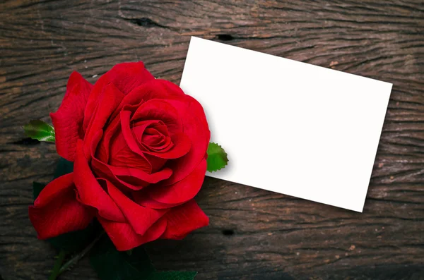 Красная роза и белая карта — стоковое фото