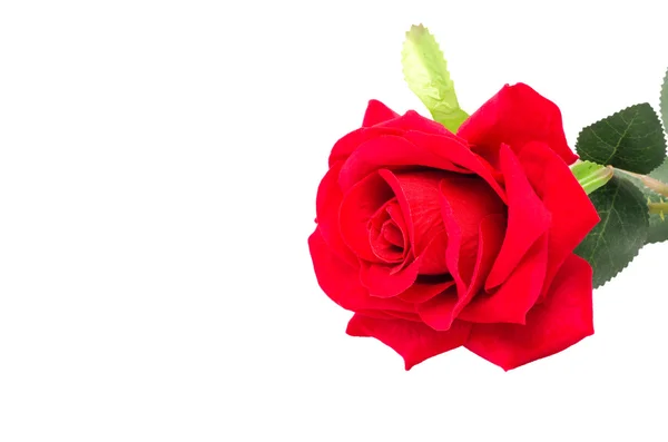 Artificial red rose — Stock Photo, Image