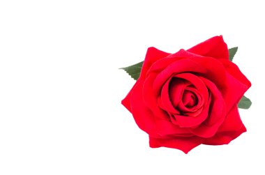 yapay kırmızı gül