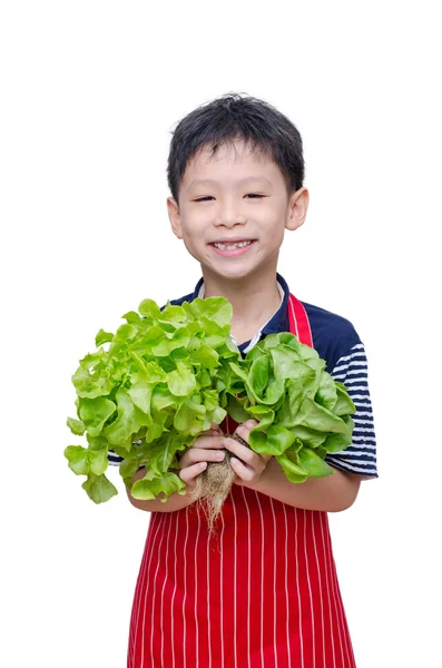 Boy with fresh vegetable — Stock Photo, Image