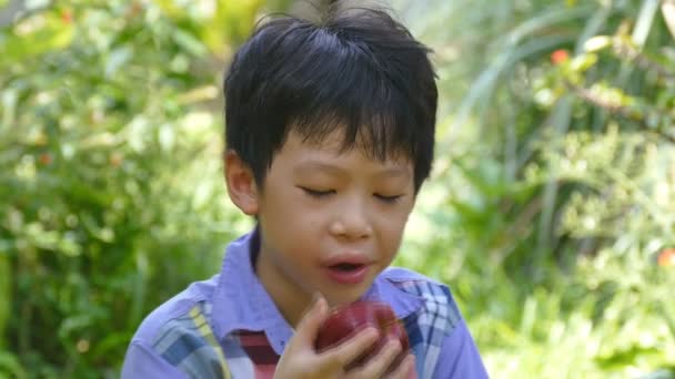 Niño comiendo una manzana — Vídeos de Stock