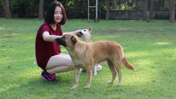 Menina com seu cão no parque — Vídeo de Stock