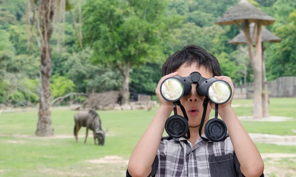 Хлопчик використовує бінокль у відкритому зоопарку — стокове фото