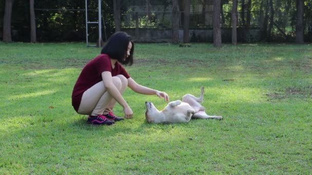 Дівчина зі своїм собакою в парку — стокове відео