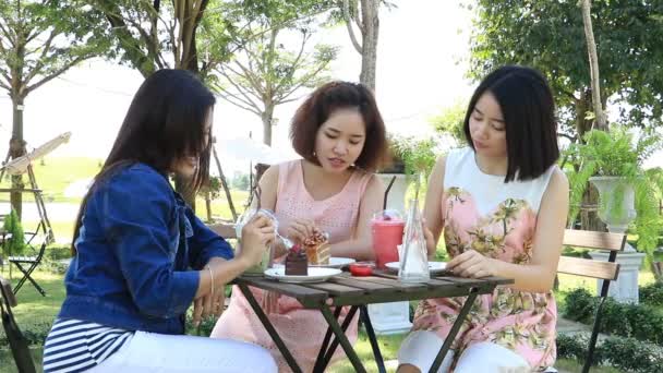 Chicas divirtiéndose hablando en la cafetería . — Vídeos de Stock