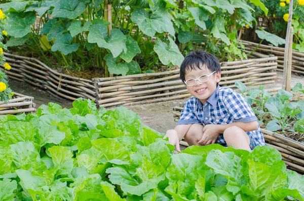 Jongen werken in plantaardige boerderij — Stockfoto