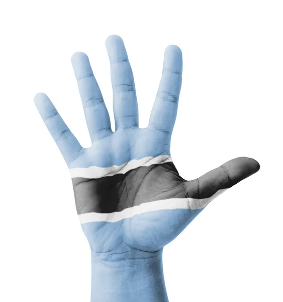 Mano aperta sollevata, concetto multiuso, bandiera Botswana dipinta  - — Foto Stock