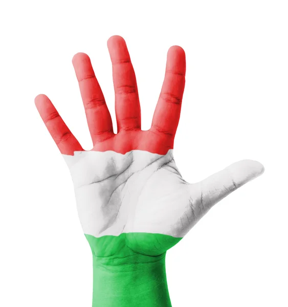 Open hand raised, multi purpose concept, Hungary flag painted - — Stock Photo, Image