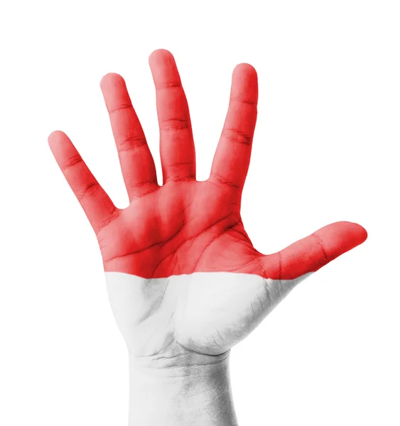 Mão aberta levantada, conceito multiúso, bandeira de Mônaco pintada - i — Fotografia de Stock