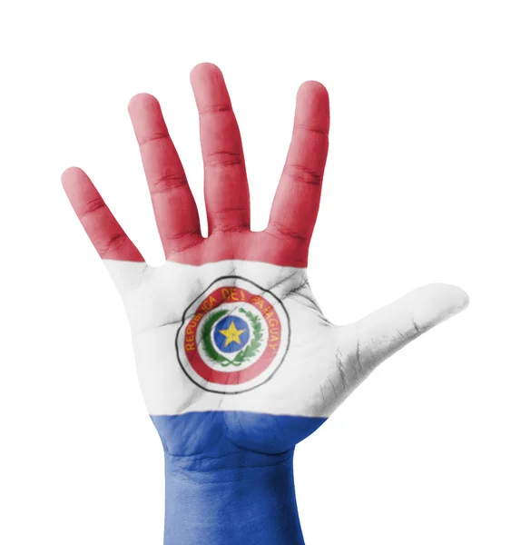 Mano abierta levantada, concepto de usos múltiples, bandera de Paraguay pintada  - — Foto de Stock