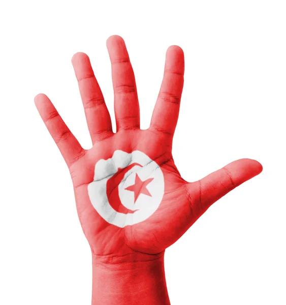Mano aperta sollevata, concetto multiuso, bandiera Tunisia dipinta  - — Foto Stock