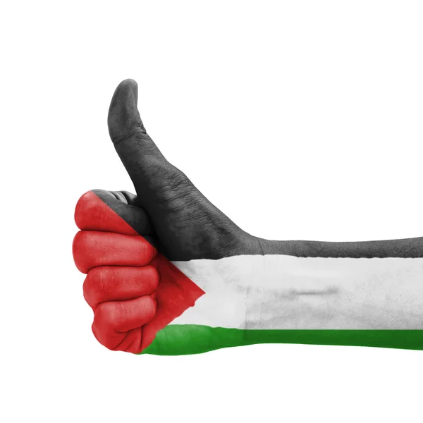 Hand with thumb up, Palestine flag painted as symbol of excellen — Stock Photo, Image