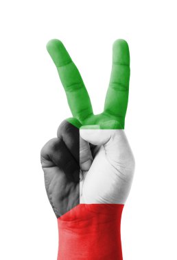 V işareti, zafer sembolü olarak boyalı Kuveyt bayrağı yapma el