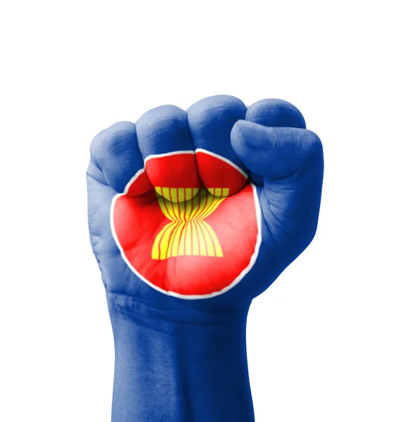 Fist of ASEAN (Association of Southeast Asian Nations) flag pain — Stock Photo, Image