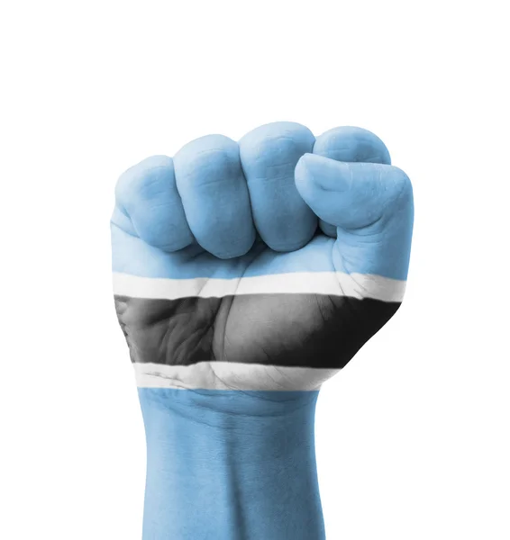 Fist of Botswana flag painted, multi purpose concept - isolated — Stock Photo, Image