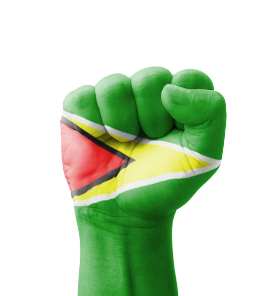 Fist of Guyana flag painted, multi purpose concept - isolated on — Stock Photo, Image