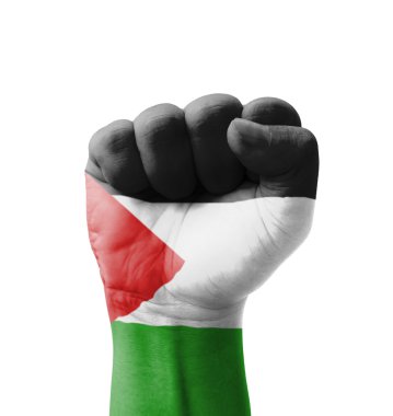 Yumruk boyalı Palestine bayrağı, izole multi amaç kavramı-