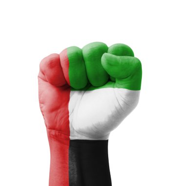 BAE (Birleşik Arap Emirlikleri) bayrak multi amaç c boyalı, yumruk