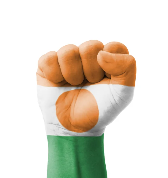 Fist of Niger flag painted, multi purpose concept - isolated on — Stock Photo, Image